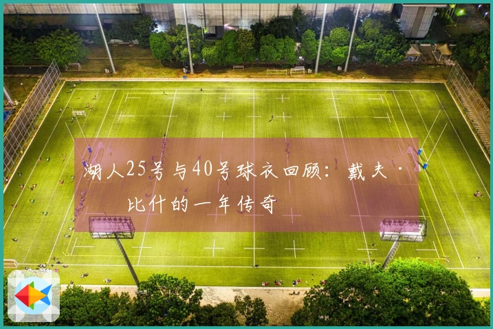 湖人25号与40号球衣回顾：戴夫·罗比什的一年传奇